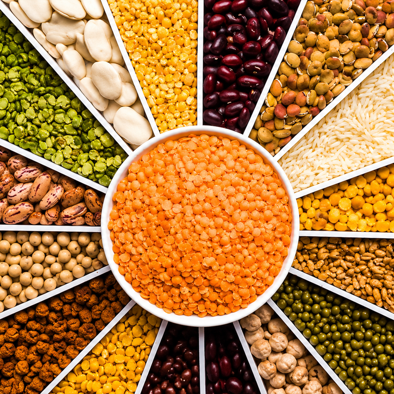 Pulses Company in India